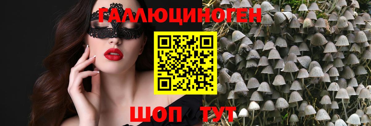 Псилоцибиновые грибы Cubensis  Вход с VPN  Усть-Илимск  Псилоцибиновые грибы Psilocybine cubensis 